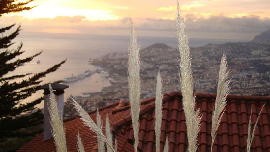 Apartamento Charmoso No Funchal, Com Grande Jardim E Vista Esplendida Экстерьер фото
