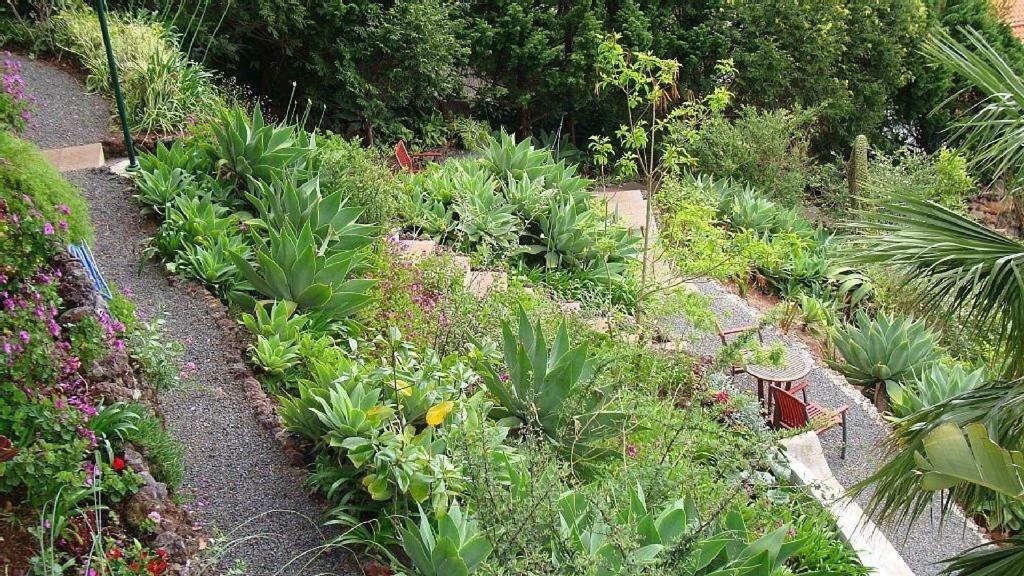 Apartamento Charmoso No Funchal, Com Grande Jardim E Vista Esplendida Экстерьер фото